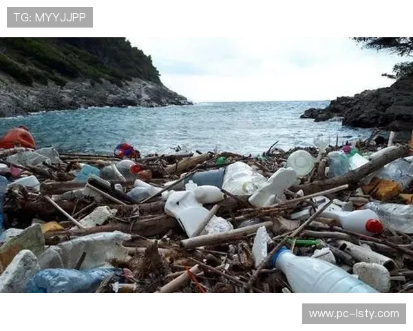 快船队年龄结构困境及其对可持续发展的制约分析 快船队年龄结构困境及其对可持续发展的制约分析